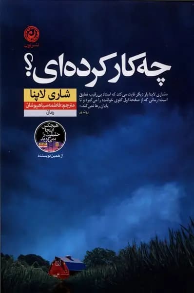 چه کار کرده ای؟ / نشر نون / نویسنده: شاری لاپنا