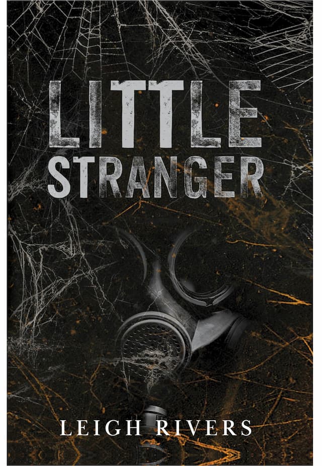 کتاب Little Stranger: A Dark Taboo Romance (The Web of Silence Duet Book 1)